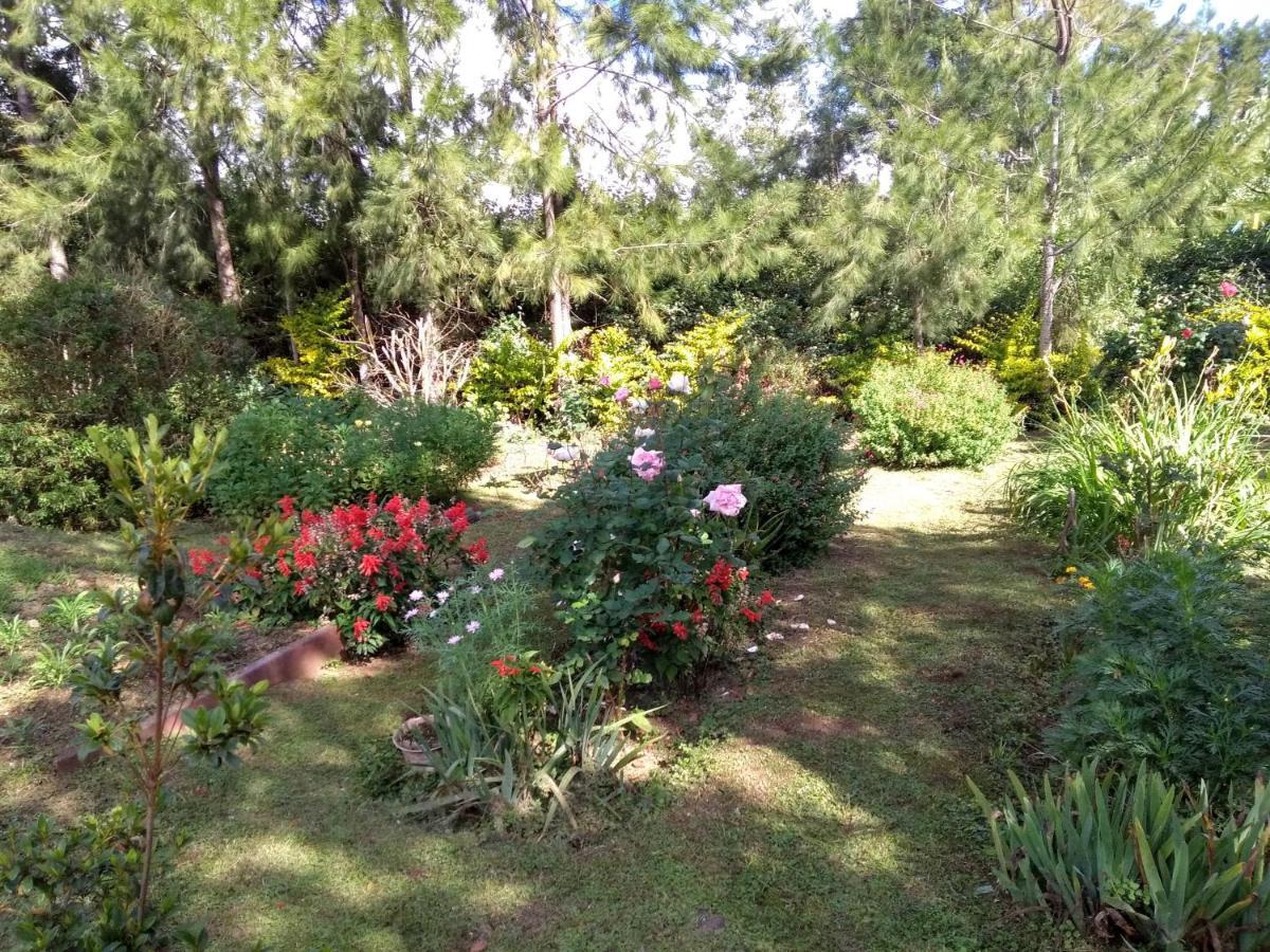 Au Fruit Delicieux Apartment Plaine des Cafres Bagian luar foto